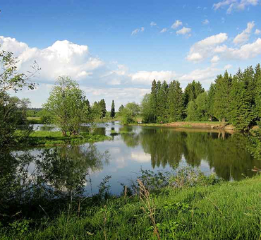 Город Бавлы